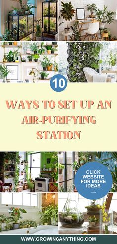 the top ten ways to set up an air - purifying station