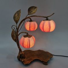 three paper lanterns are hanging from a tree branch with leaves on it and one light is turned on