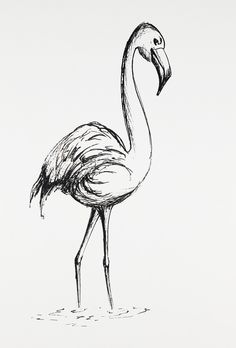 a black and white drawing of a flamingo