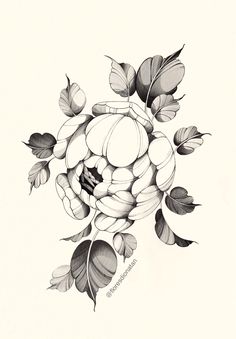 a black and white drawing of flowers with leaves on it's petals are arranged around the