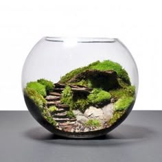 a glass bowl filled with moss and rocks