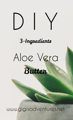 Aloe Vera Butter, Aloe Vera Recipes, Aloe Vera Lotion, Aloe Vera Moisturizer, Diy Haircare, Diy Masks, Diy Body Butter, Aloe Vera Oil, Body Butters Recipe