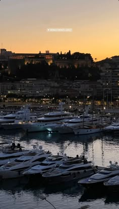 many boats are parked in the harbor at sunset or dawn, with an old castle in the background