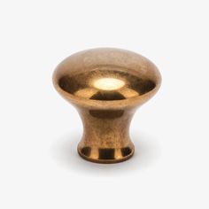 an antique brass cabinet knob on a white background