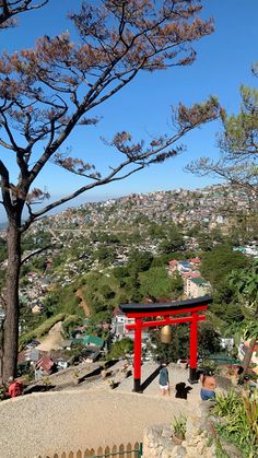 a person standing in front of a red tori tori tori tori tori tori tori tori tori tori