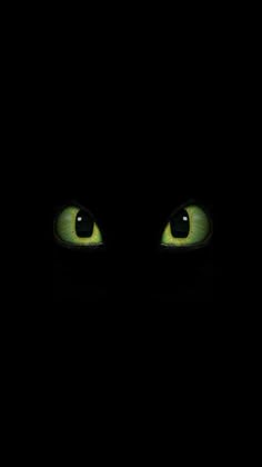 the eyes of a cat are glowing in the dark