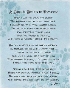 a dog's bedtime prayer with paw prints