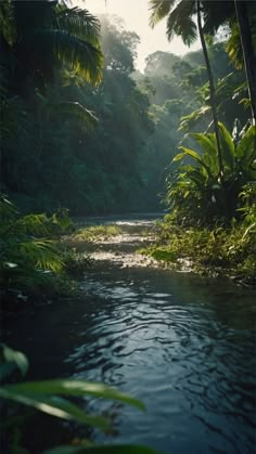 the sun shines through the trees and leaves on the water in this tropical scene