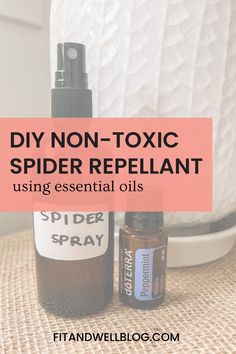 the best diy non - tonic spider repellent using essential oils