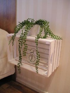 a white shelf with a plant growing out of it and a clock on the side