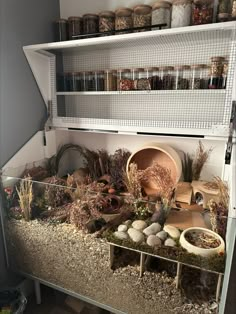 a shelf filled with lots of plants and rocks