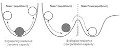 two diagrams showing the different stages of resilition