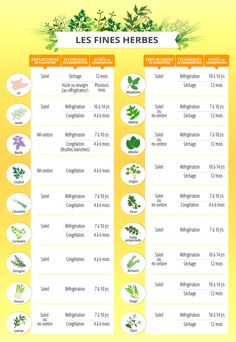 the french herbs are labeled in different languages and sizes, with their corresponding names