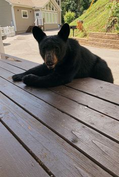 a large black bear laying on top of a wooden picnic table next to a house