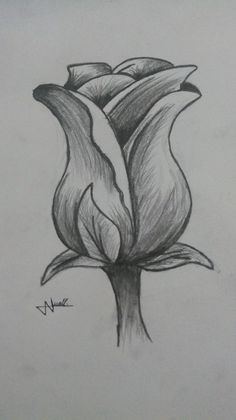 a pencil drawing of a flower that is in the process of being drawn by someone