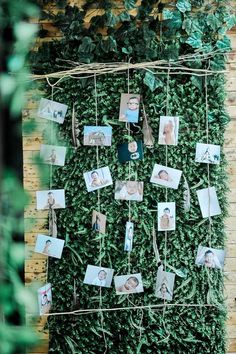 a green wall with pictures hanging from it's sides and photos pinned to the side