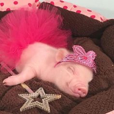 a baby sleeping on top of a brown blanket wearing a pink tutu and a tiara