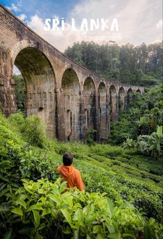 a man standing in the middle of a lush green field next to a stone bridge