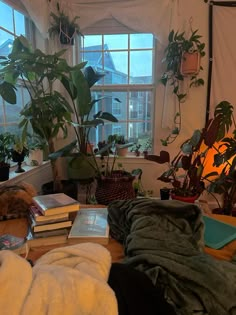 a living room filled with lots of plants next to a window covered in white blankets