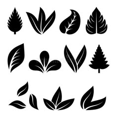 black and white leaf silhouettes on a white background royalty illustration for logos or emblems