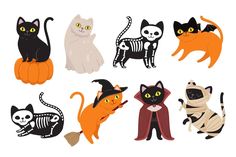 a group of cats that are sitting on some pumpkins with skeleton and cat faces