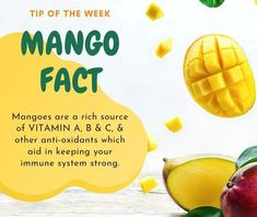 Did You Know? Mangoes are a rich source of Vitamin A, Vitamin B, Vitamin C, and other antioxidants, which aid in keeping your immune system strong. The king of fruits is also the king of your health. So, enjoy the season’s favorite fruit without any guilt. #Mangoes #FoodFacts #Foodie #HealthyFood #Nutrition #Food #CleanEating #HealthyEating #NutritionFacts #daulatsteel #daulatindustries #HealthyLifestyle #Snacks #Healthy #Calories #EatClean #FreshFood #Fitness #EatSmart #summerishere Mango Nutrition Facts, Mango Nutrition, Mango Images, Mango Vitamins, Healthy Calories, Mango Benefits, Nutrition Food, Snacks Healthy