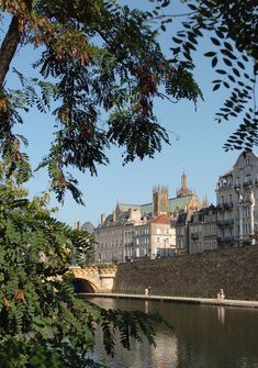 a river running through a city with tall buildings on the side and trees in front of it