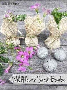 wildflower seed bonks are displayed on a wooden table with purple flowers and rocks