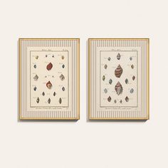 two framed pictures with shells on them