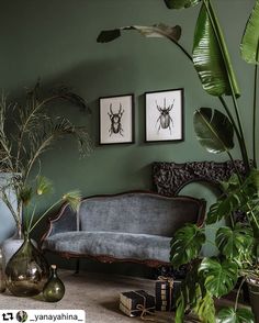 a living room filled with plants and pictures on the wall