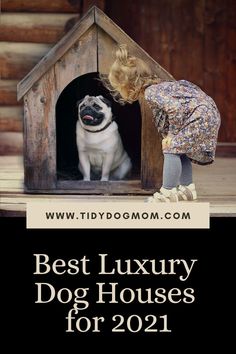 Looking for an awesome Christmas present for your dog? Click this pin to check out the best luxury dog houses in 2021. #LuxuryDogHouseOutdoor #LuxuryDogHouseIndoor #LuxuryDogHouseMansions #DogHouseIdeas #DogHouseIndoor Spoiled Dogs, Dog House Diy, Funny Dog Memes, Dog Rooms