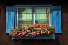 a window box filled with pink and red flowers next to a blue shuttered window