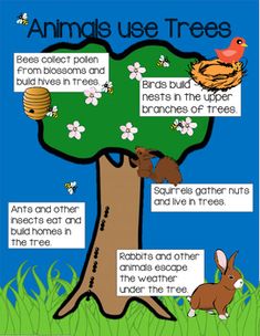 an animal uses trees to help students learn how to use their animals in the tree