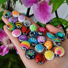 a hand holding a bunch of colorful painted rocks