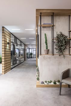 a long hallway with plants on the wall and a chair next to it in front of a window