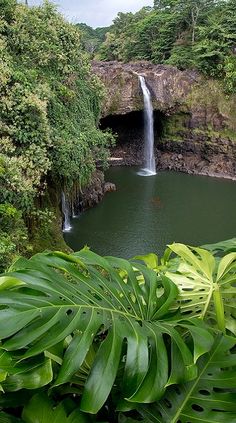 the waterfall is surrounded by lush vegetation and trees