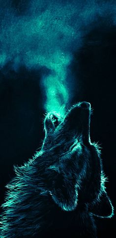 a drawing of a wolf looking up at the sky