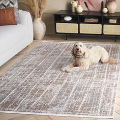 a white dog laying on top of a rug in a living room