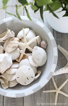 a bowl filled with sea shells on top of a wooden table