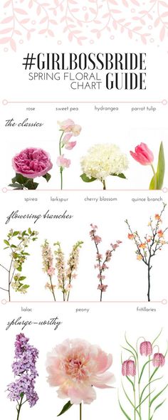 flowers that are pink and white with the words girlbosbridgee spring floral guide