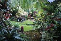 a garden filled with lots of different types of plants