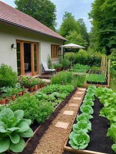 a garden filled with lots of green plants