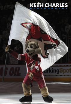 a mascot holding a flag in front of an ice hockey rink with people watching from the stands