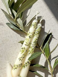 an olive branch wrapped in wrapping paper next to some green leaves on a white surface