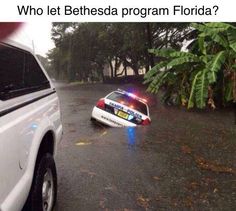 a police car driving down a street next to a lush green tree covered forest in the rain