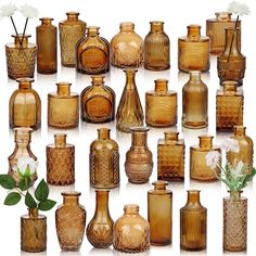 an assortment of vases with flowers in them on a white background, including one large and one small