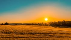 the sun is setting over a field of wheat as it sits in the middle of nowhere