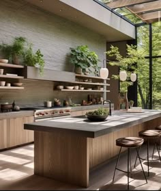 a kitchen with lots of counter space and plants on the shelves