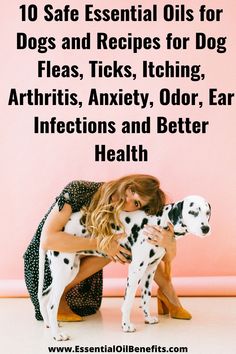 a woman kneeling down next to a dalmatian dog with the caption 10 safe essential oils for dogs and recipes for dog fleas