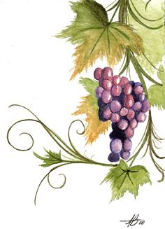 watercolor painting of grapes on vine with leaves